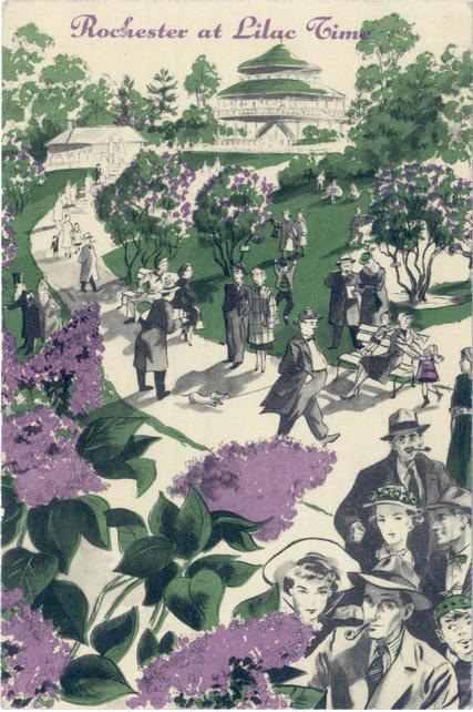 'Rochester at Lilac Time'. A postcard, probably from the 1940's or 50's.